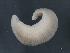  ( - 10PROBE-22553)  @13 [ ] CreativeCommons - Attribution (2010) CBG Photography Group Centre for Biodiversity Genomics