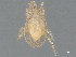  ( - BIOUG49893-D04)  @11 [ ] CreativeCommons - Attribution (2021) CBG Photography Group Centre for Biodiversity Genomics
