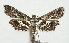  ( - DP09157)  @12 [ ] Copyright (2010) Unspecified Research Collection of W. and J. De Prins