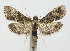  ( - DP09158)  @13 [ ] Copyright (2010) Unspecified Research Collection of W. and J. De Prins