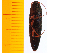  ( - Mjap1)  @12 [ ] Copyright (2013) Unspecified Specimen depository of the Graduate School of Natural Sciences, Nagoya City University