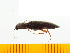  ( - Moki1)  @13 [ ] Copyright (2013) Unspecified Specimen depository of the Graduate School of Natural Sciences, Nagoya City University