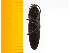  ( - Mcric1)  @12 [ ] Copyright (2013) Unspecified Specimen depository of the Graduate School of Natural Sciences, Nagoya City University