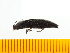  ( - Mcric1)  @12 [ ] Copyright (2013) Unspecified Specimen depository of the Graduate School of Natural Sciences, Nagoya City University