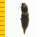  ( - Ppuly1)  @13 [ ] Copyright (2013) Unspecified Specimen depository of the Graduate School of Natural Sciences, Nagoya City University