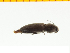  ( - Ppuly1)  @13 [ ] Copyright (2013) Unspecified Specimen depository of the Graduate School of Natural Sciences, Nagoya City University