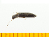  ( - Dpat2)  @12 [ ] Copyright (2013) Unspecified Specimen depository of the Graduate School of Natural Sciences, Nagoya City University