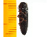  ( - Mcetc3)  @13 [ ] Copyright (2013) Unspecified Specimen depository of the Graduate School of Natural Sciences, Nagoya City University