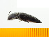  ( - Mcrir2)  @12 [ ] Copyright (2013) Unspecified Specimen depository of the Graduate School of Natural Sciences, Nagoya City University