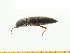  ( - Merye2)  @13 [ ] Copyright (2013) Unspecified Specimen depository of the Graduate School of Natural Sciences, Nagoya City University