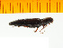  ( - Mjap3)  @12 [ ] Copyright (2013) Unspecified Specimen depository of the Graduate School of Natural Sciences, Nagoya City University