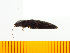  ( - Mann3)  @12 [ ] Copyright (2013) Unspecified Specimen depository of the Graduate School of Natural Sciences, Nagoya City University