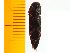  ( - Mkoi2)  @12 [ ] Copyright (2013) Unspecified Specimen depository of the Graduate School of Natural Sciences, Nagoya City University