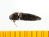  ( - Mkoi3)  @12 [ ] Copyright (2013) Unspecified Specimen depository of the Graduate School of Natural Sciences, Nagoya City University