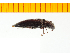  ( - Mcetc5)  @13 [ ] Copyright (2013) Unspecified Specimen depository of the Graduate School of Natural Sciences, Nagoya City University