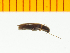  ( - Dtam1)  @12 [ ] Copyright (2013) Unspecified Specimen depository of the Graduate School of Natural Sciences, Nagoya City University