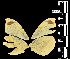  (Enantia ssp1MEX - MAL-05540)  @11 [ ] Copyright (2012) Unspecified Museo de Zoologia, Facultad de Ciencias, UNAM