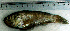  ( - ApSm22G)  @12 [ ] Unspecified (default): All Rights Reserved  Unspecified Unspecified