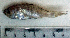  ( - ApSm22R)  @12 [ ] Unspecified (default): All Rights Reserved  Unspecified Unspecified