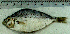  ( - EqKl12G)  @12 [ ] Unspecified (default): All Rights Reserved  Unspecified Unspecified