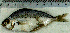  ( - EqKl12H)  @12 [ ] Unspecified (default): All Rights Reserved  Unspecified Unspecified