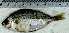  ( - EqKl12I)  @12 [ ] Unspecified (default): All Rights Reserved  Unspecified Unspecified