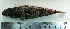  ( - LaSc18B)  @12 [ ] Unspecified (default): All Rights Reserved  Unspecified Unspecified