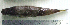  ( - LaSu26C)  @12 [ ] Unspecified (default): All Rights Reserved  Unspecified Unspecified