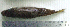  ( - LaSu26D)  @13 [ ] Unspecified (default): All Rights Reserved  Unspecified Unspecified