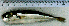  ( - LaSu26K)  @12 [ ] Unspecified (default): All Rights Reserved  Unspecified Unspecified