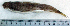  ( - LaSu26M)  @12 [ ] Unspecified (default): All Rights Reserved  Unspecified Unspecified