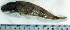  ( - LaSu26N)  @12 [ ] Unspecified (default): All Rights Reserved  Unspecified Unspecified