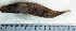  ( - LaSu26O)  @12 [ ] Unspecified (default): All Rights Reserved  Unspecified Unspecified