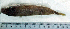  ( - LaSu26P)  @12 [ ] Unspecified (default): All Rights Reserved  Unspecified Unspecified