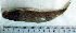  ( - LaSu26R)  @12 [ ] Unspecified (default): All Rights Reserved  Unspecified Unspecified