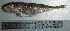  ( - LaSu26V)  @12 [ ] Unspecified (default): All Rights Reserved  Unspecified Unspecified