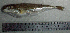  ( - LaSu26W)  @12 [ ] Unspecified (default): All Rights Reserved  Unspecified Unspecified