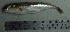  ( - LaSu26X)  @12 [ ] Unspecified (default): All Rights Reserved  Unspecified Unspecified