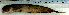 ( - OxPe28G)  @12 [ ] Unspecified (default): All Rights Reserved  Unspecified Unspecified