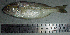  ( - PoSt51S)  @13 [ ] Unspecified (default): All Rights Reserved  Unspecified Unspecified