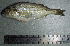  ( - PoSt51T)  @13 [ ] Unspecified (default): All Rights Reserved  Unspecified Unspecified