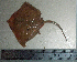  ( - RaMi47T)  @12 [ ] Unspecified (default): All Rights Reserved  Unspecified Unspecified