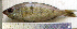  ( - SpMa9A)  @12 [ ] Unspecified (default): All Rights Reserved  Unspecified Unspecified