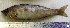  ( - SpMa9D)  @12 [ ] Unspecified (default): All Rights Reserved  Unspecified Unspecified