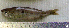  ( - SpMa9F)  @12 [ ] Unspecified (default): All Rights Reserved  Unspecified Unspecified