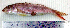  ( - UpPo14A)  @12 [ ] Unspecified (default): All Rights Reserved  Unspecified Unspecified