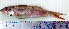  ( - UpPo14C)  @12 [ ] Unspecified (default): All Rights Reserved  Unspecified Unspecified
