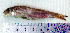  ( - UpPo14D)  @12 [ ] Unspecified (default): All Rights Reserved  Unspecified Unspecified