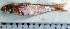  ( - UpPo14N)  @12 [ ] Unspecified (default): All Rights Reserved  Unspecified Unspecified