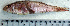  ( - UpPo14O)  @12 [ ] Unspecified (default): All Rights Reserved  Unspecified Unspecified